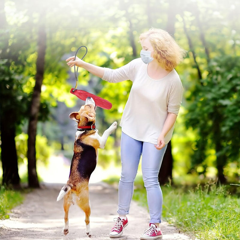 Indestructible Dog Chew Toys | Rope-Free Eva Molar Sticks, Large & Safe