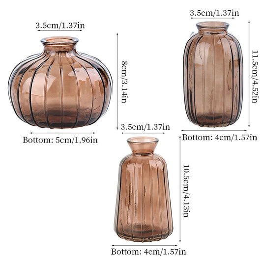 Vintage Glass Vase, Clear Small Hydroponic Flower Vase for Living Room Decor, Home Decoration Centerpiece