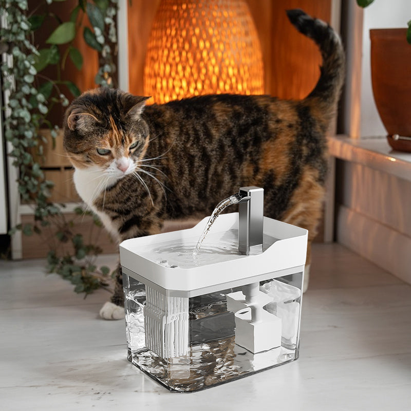 Automatic cat water fountain with filter, USB-powered, anti-dry & circular filtration.
